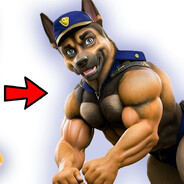 MUSCULATION (STRONG)