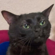 K4baLzO_cAT MANTEIGÁ!