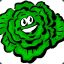 Mr.Cabbage