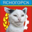 COWeringCAT