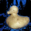 PotatoDuck2