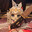 TheReal_ChevalGrand_75