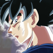 13 avatar