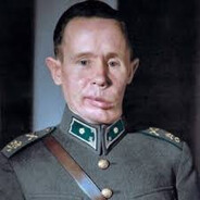 SIMO HAYHA Steam avatar