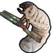 grub