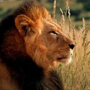 Есть пробитие