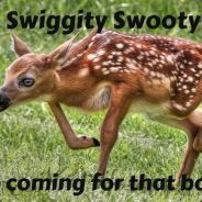 Swaggalicious Swagstar