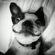 买辣条也用劵🐖丶