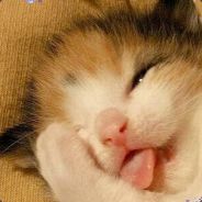 天生丽质难自弃