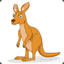 Kangaroo