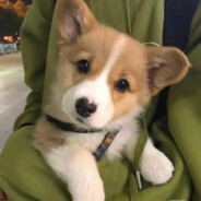 不要这样子做嘛