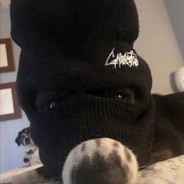 乙