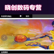 晓创数码专营店