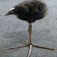 G2.//*DarkYanGell*\\