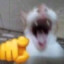 Feяnando Da Ervaツ