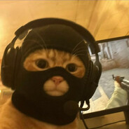 St3fy01 avatar