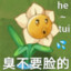 红尘过客