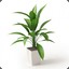 Plantas