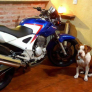 CB250 Twister