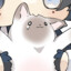 CHatNoiR