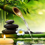 唇齿微凉薄荷糖