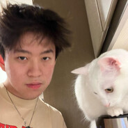 崇高的外乡小鸟