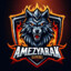 Amezyarak