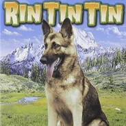 rin tin tin avatarı