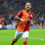 ♛Wesley Sneijder♛