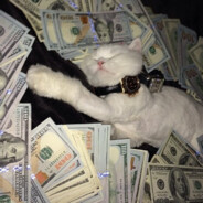 meow