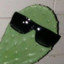 DommoC