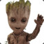 imgroot