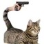 a fucking cat with gun