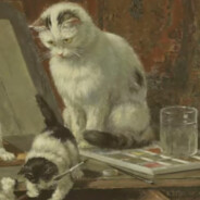 娃娃菜藕齁哦哦