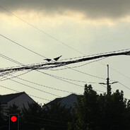 谢谢谢谢谢谢谢谢