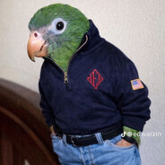 80085