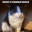 кочерышечка