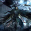 Corvo
