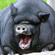 朝鲜战神金正恩