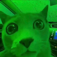 Skiggly Cat
