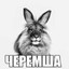 Кизяк Петрович