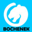 BocHeNek g4skins