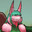 ✿Venus✿ avatar