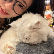 霸道总裁爱上本小姐