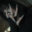 666solong
