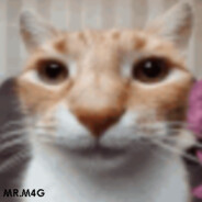 Mr.M4g