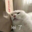 HongDNI1