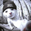 dimoraez's avatar