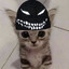 КИТАЕЦ