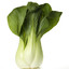 BokChoyBoy